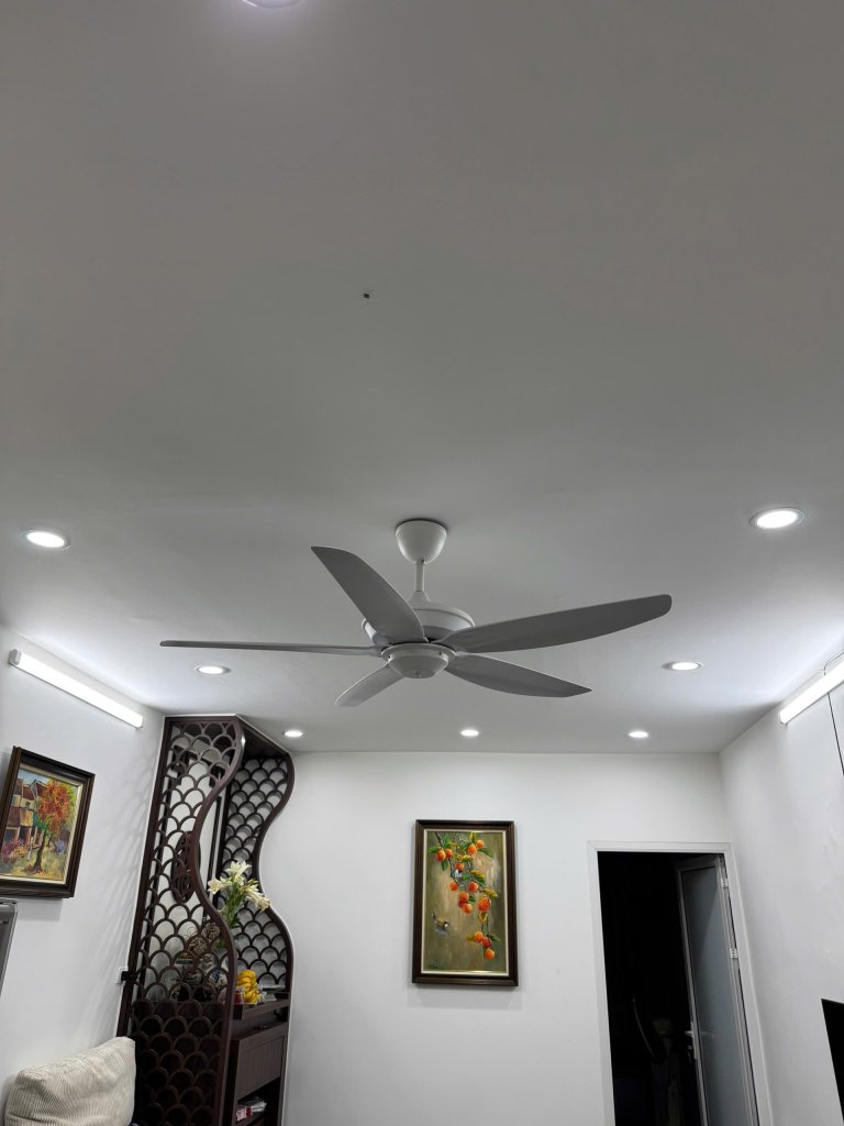 IMG_1909.jpeg