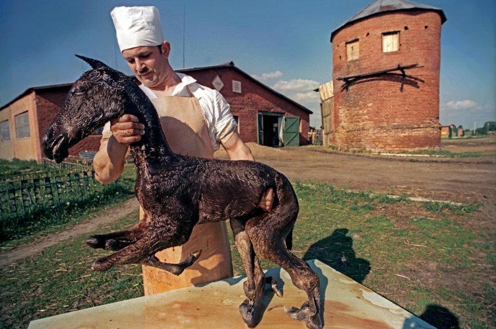 Chernobyl 1988 (5).jpeg