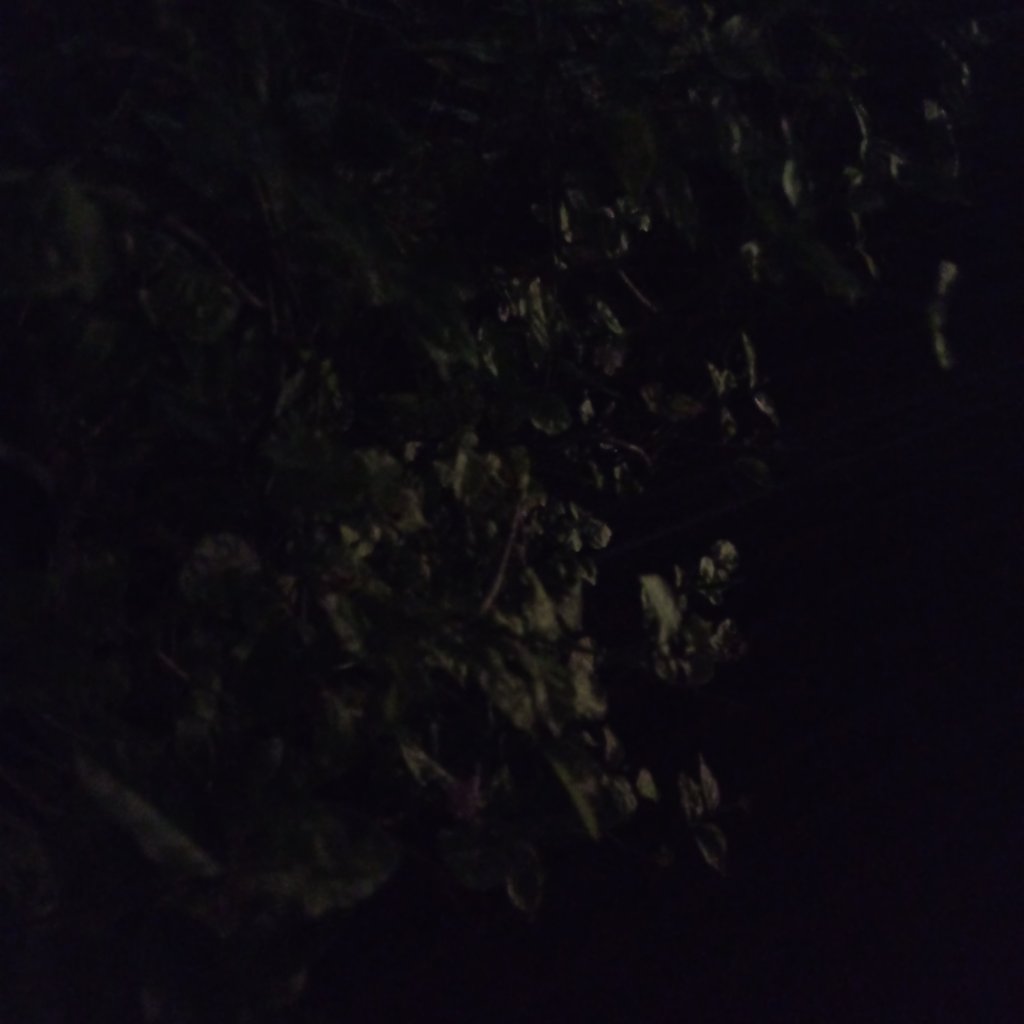 1000010774.jpg