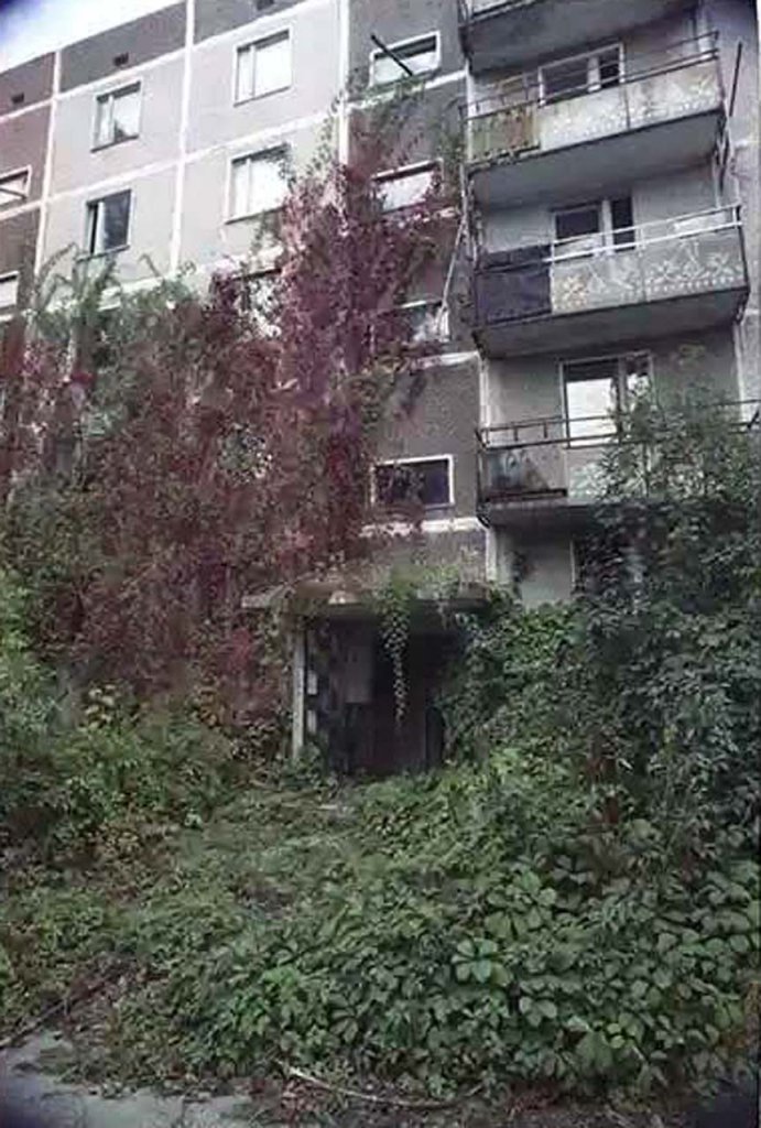 Chernobyl 1992 (1).jpg