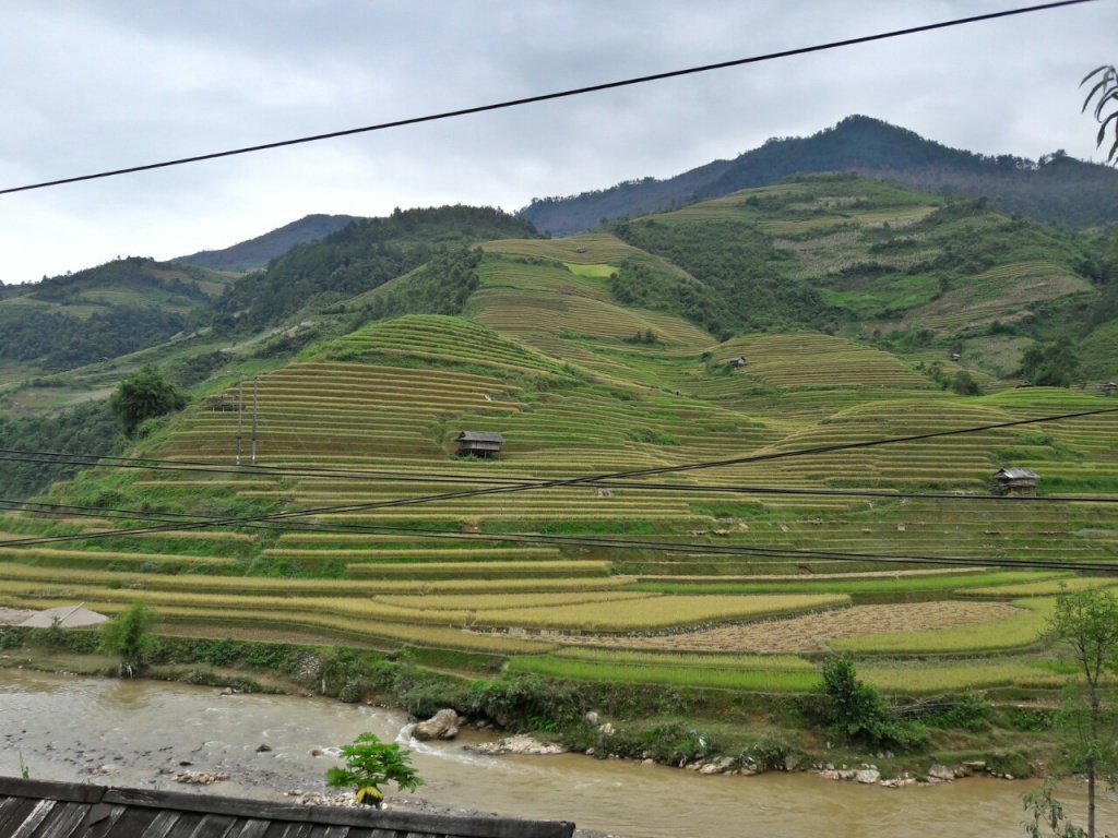 Hoàng Su Phì.jpg