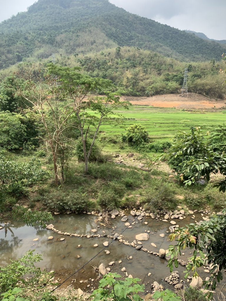 IMG_6804.jpeg