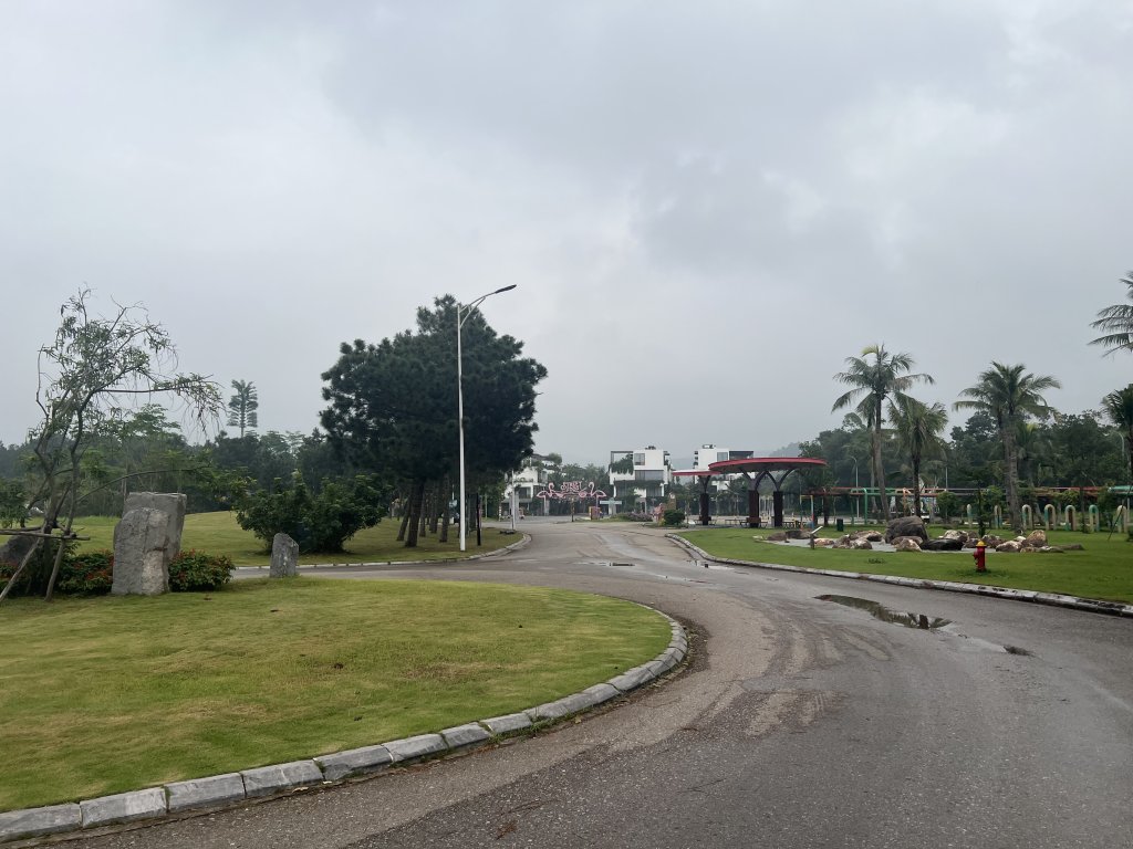 IMG_4235.jpeg