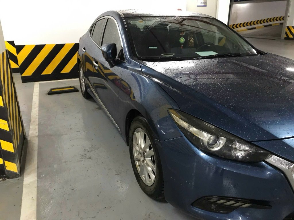 1000011719.jpg