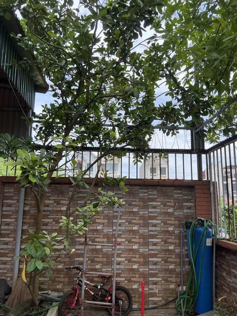 IMG_1299.jpeg