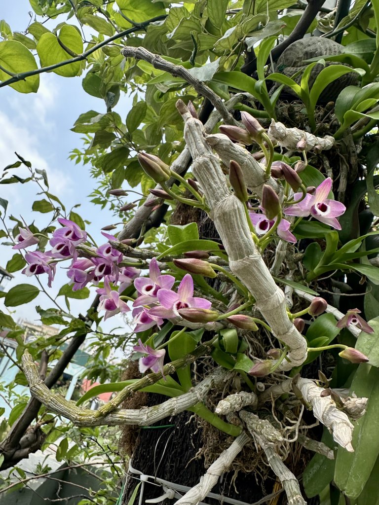 IMG_9002.jpeg