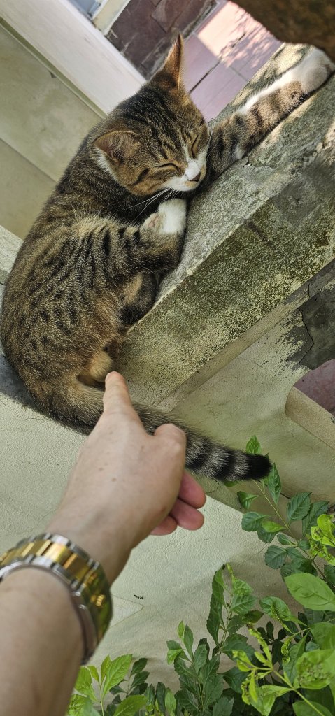 1000045612.jpg