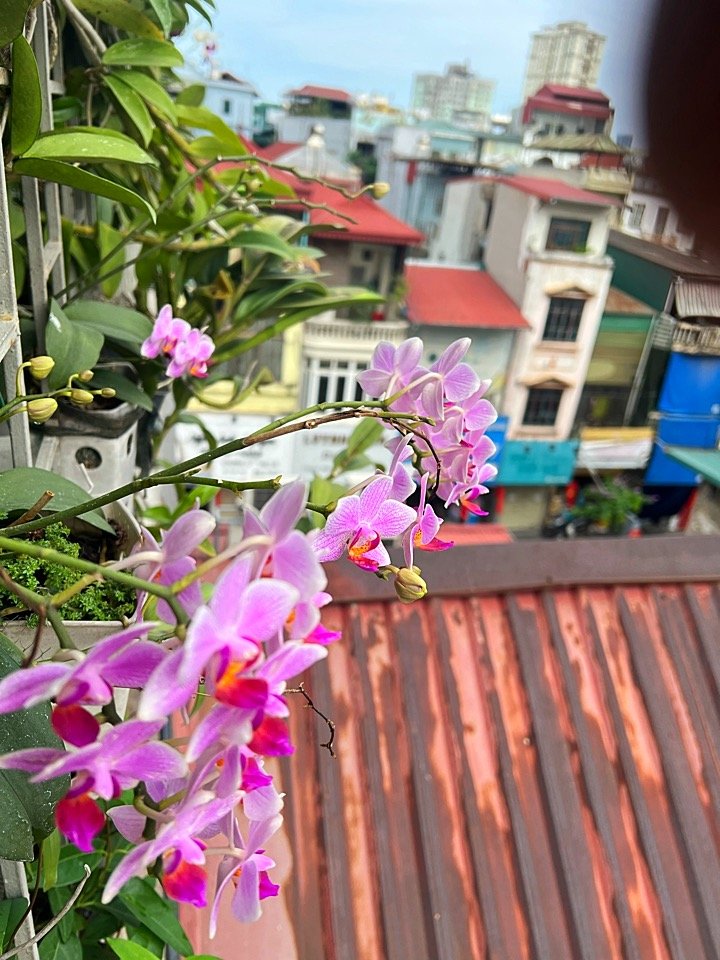 IMG_4284.jpeg