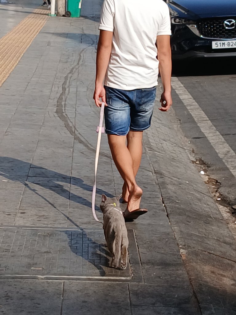 1000010277.jpg