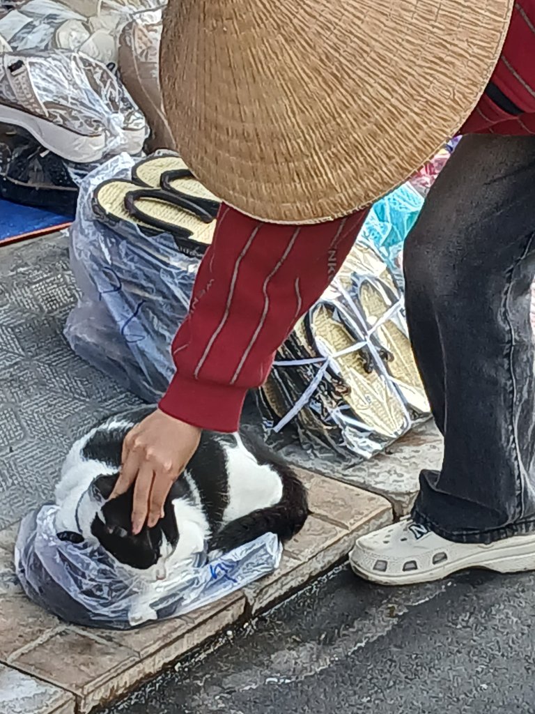 1000010280.jpg