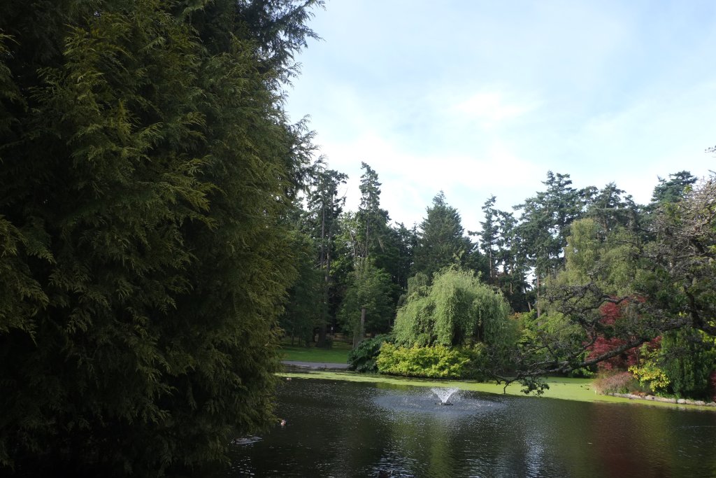 DSCF5504.JPG