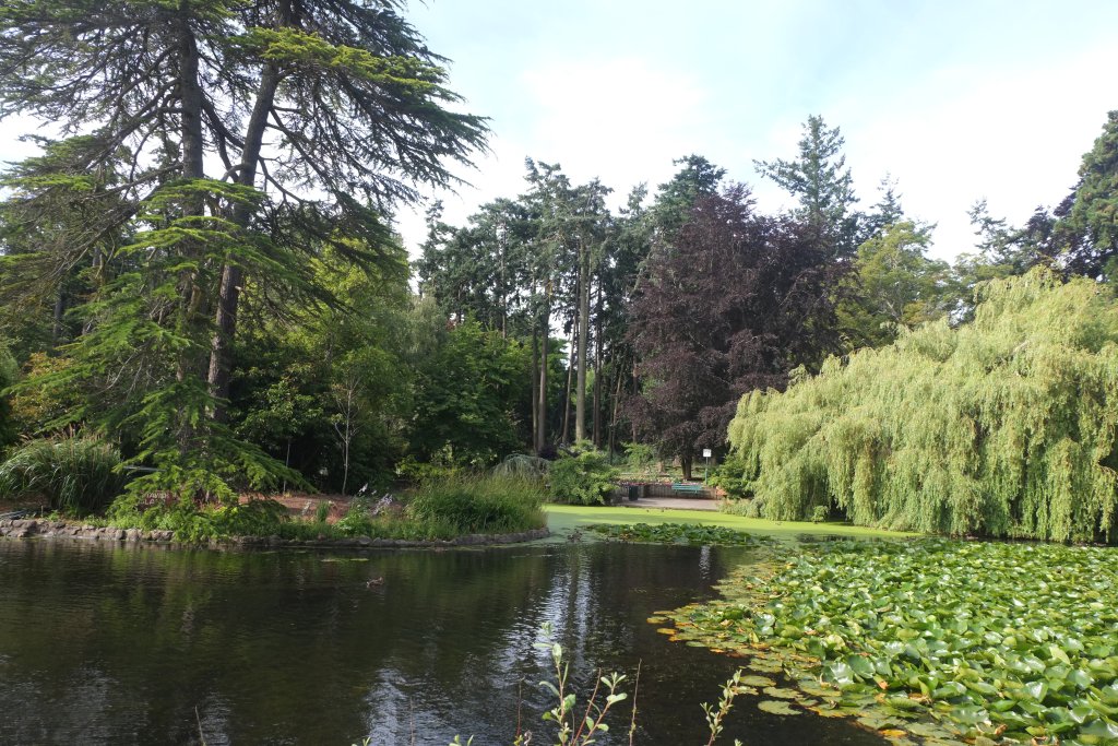 DSCF5507.JPG