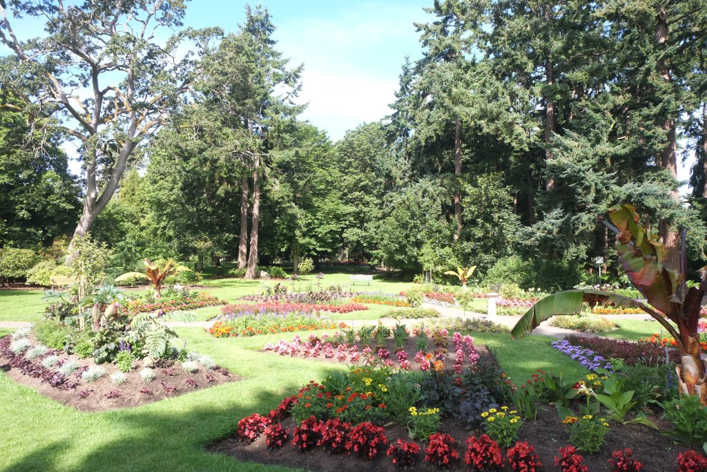 DSCF5509.JPG