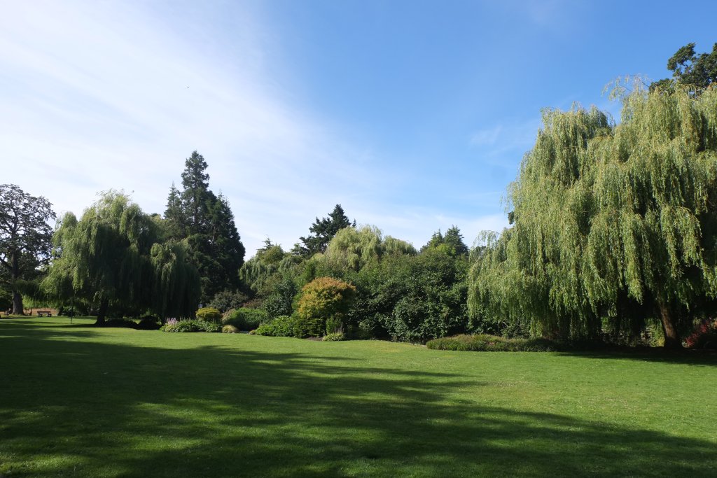 DSCF5510.JPG