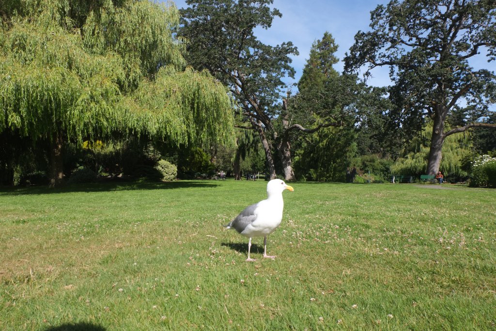 DSCF5517.JPG