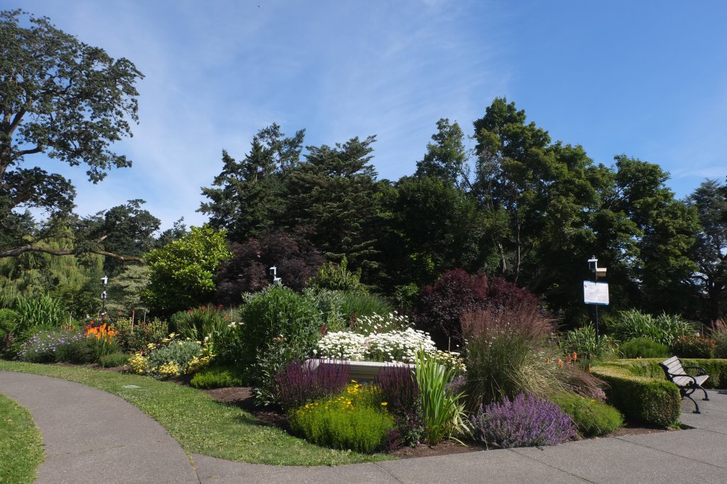 DSCF5528.JPG