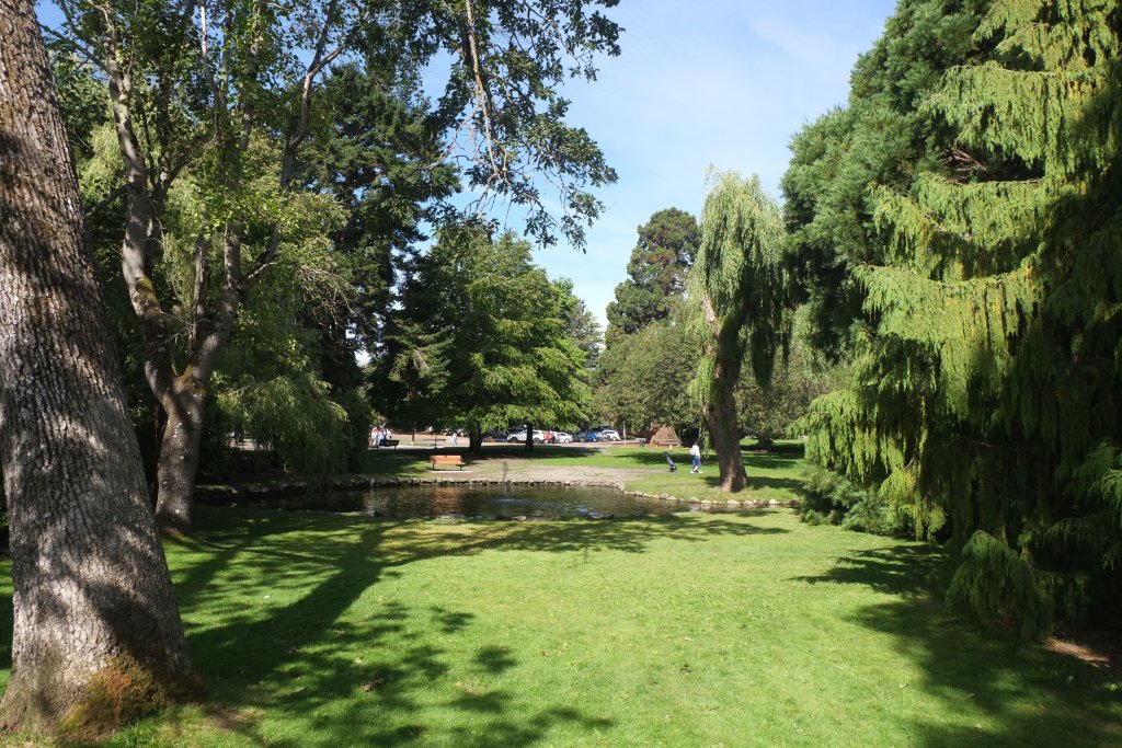 DSCF5529.JPG