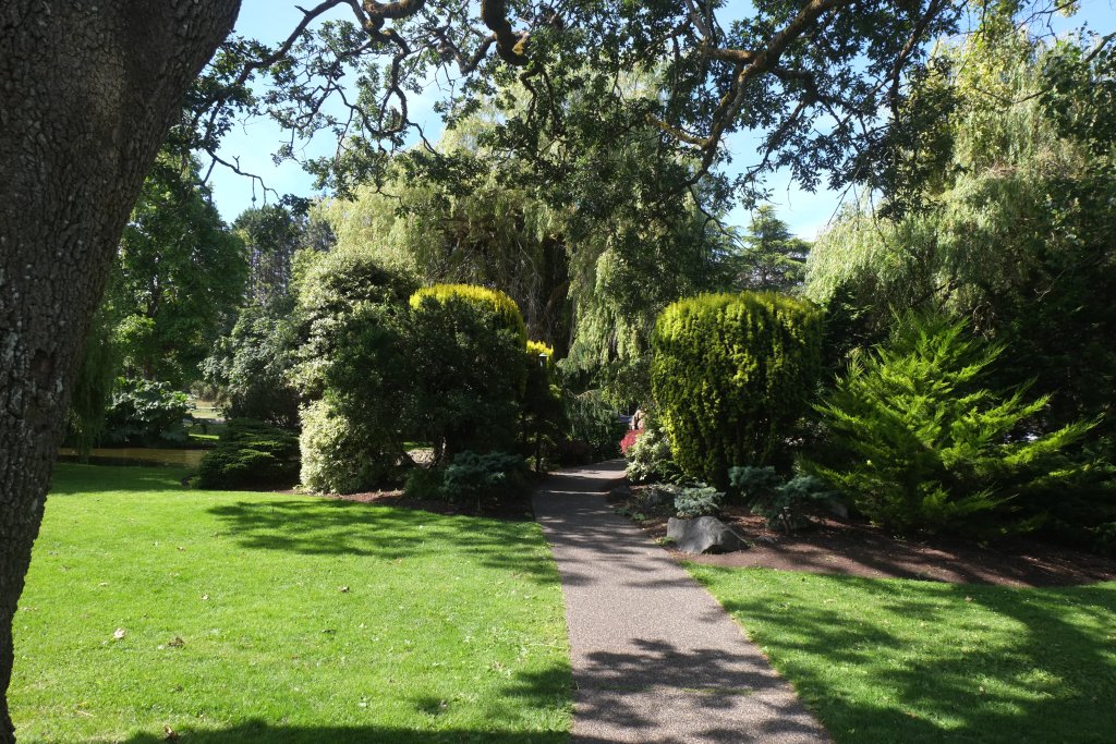 DSCF5530.JPG