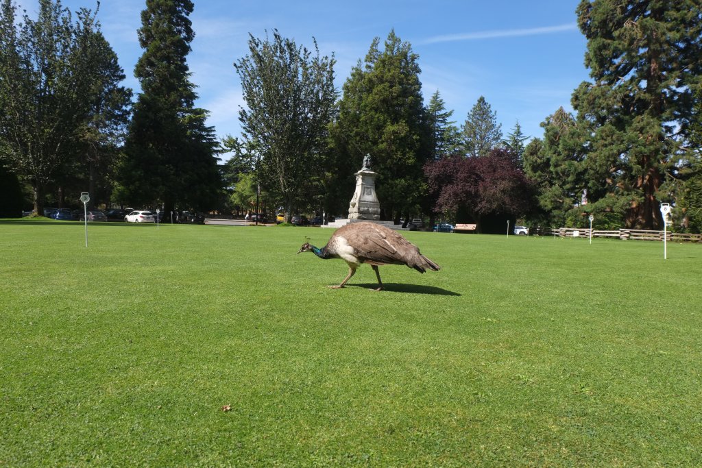 DSCF5536.JPG