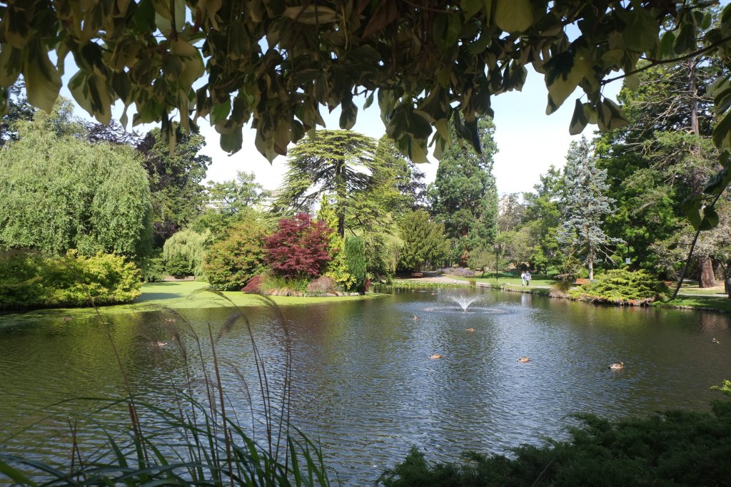 DSCF5537.JPG