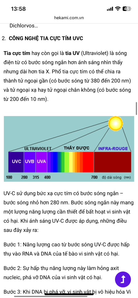 IMG_8605.png