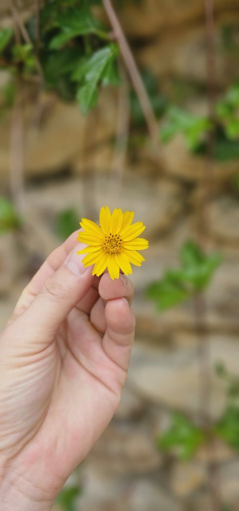 1000045701.jpg
