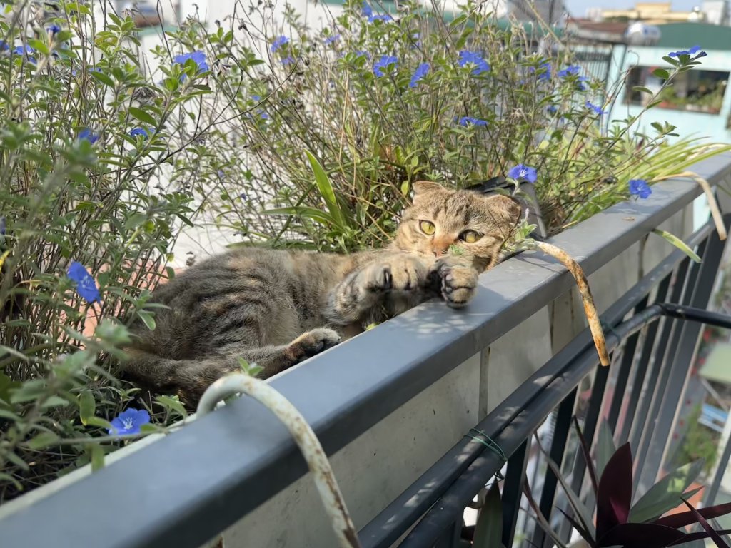 IMG_9164.jpeg