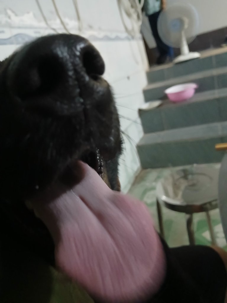 1000010314.jpg