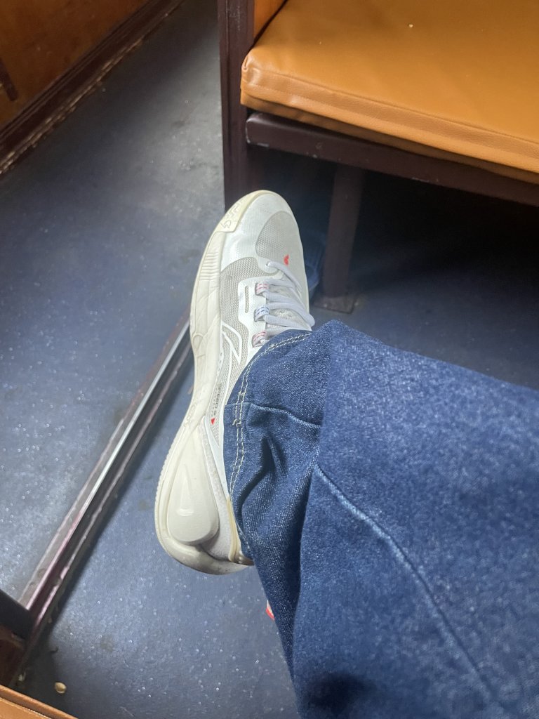 IMG_3768.jpeg