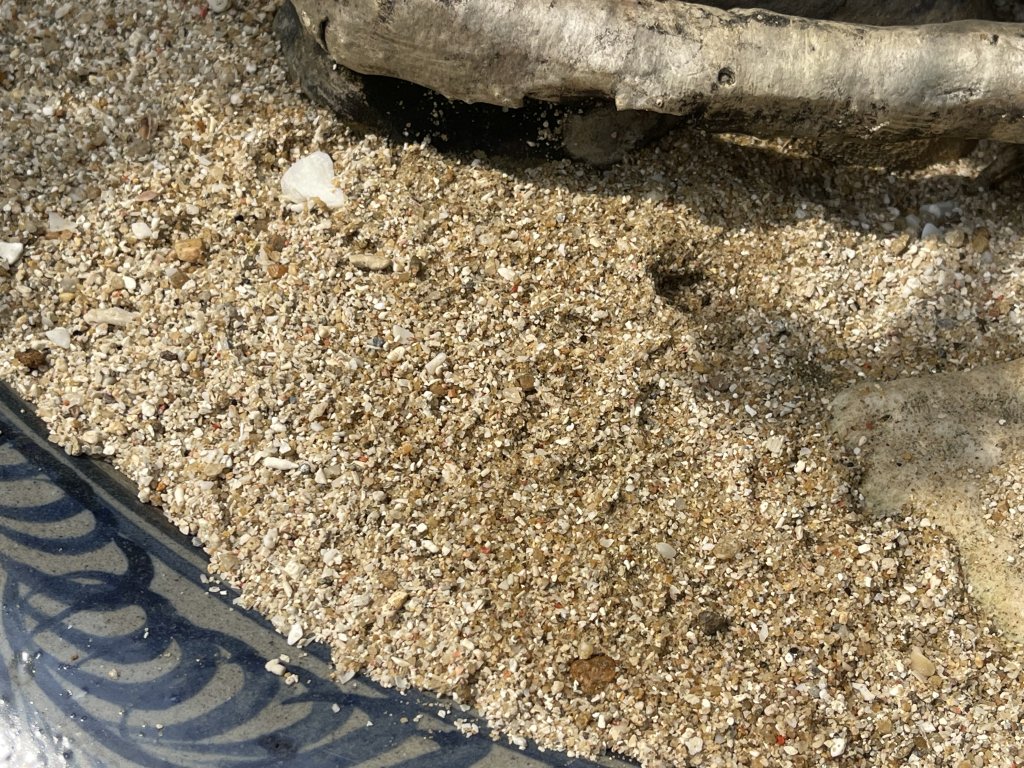 IMG_0297.jpeg