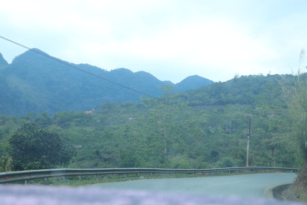 IMG_2865.jpeg