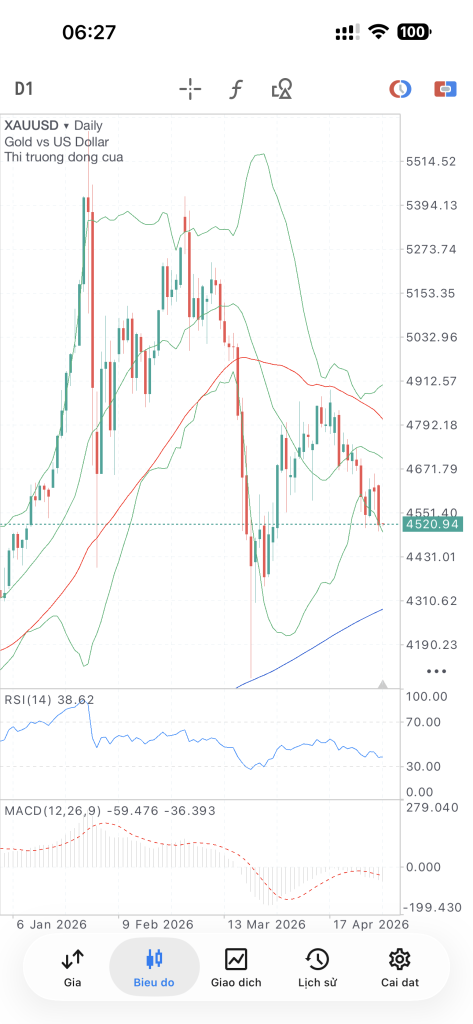 IMG_3935.png