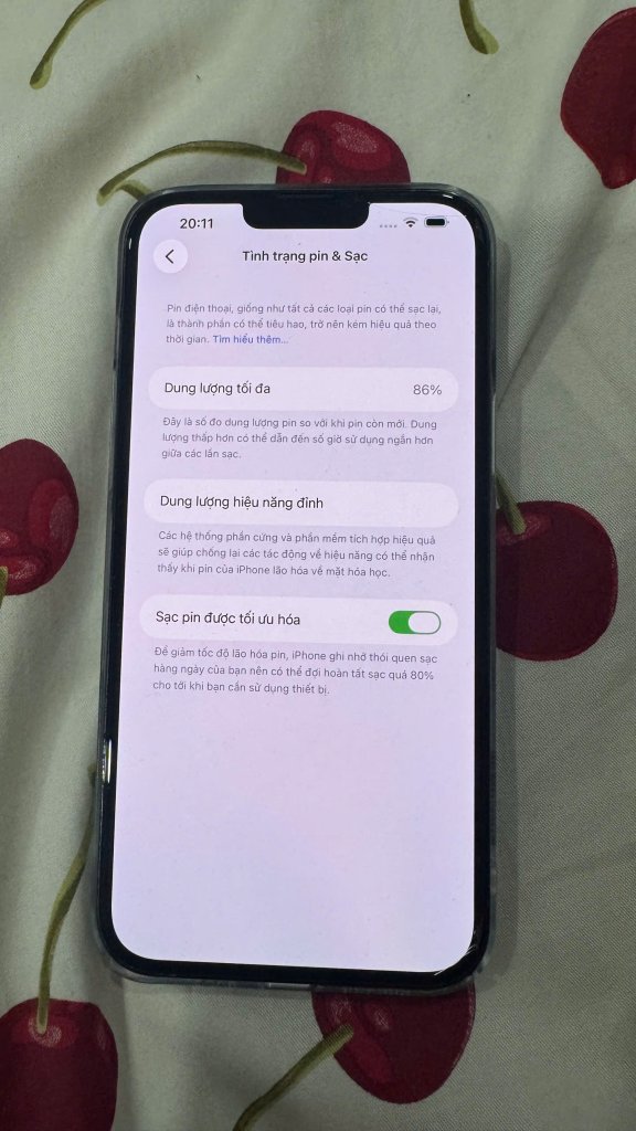 3132915093581470389.jpg