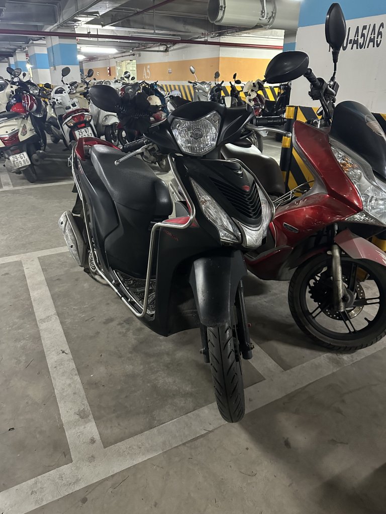 IMG_3007.jpeg