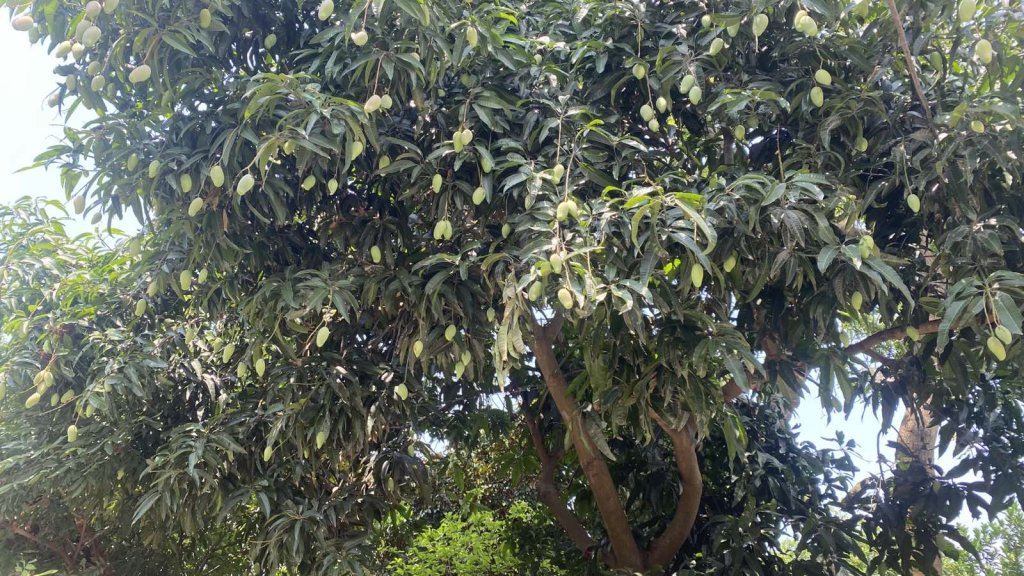 IMG_1099.jpeg