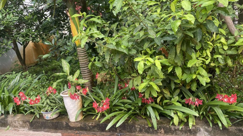 IMG_1110.jpeg