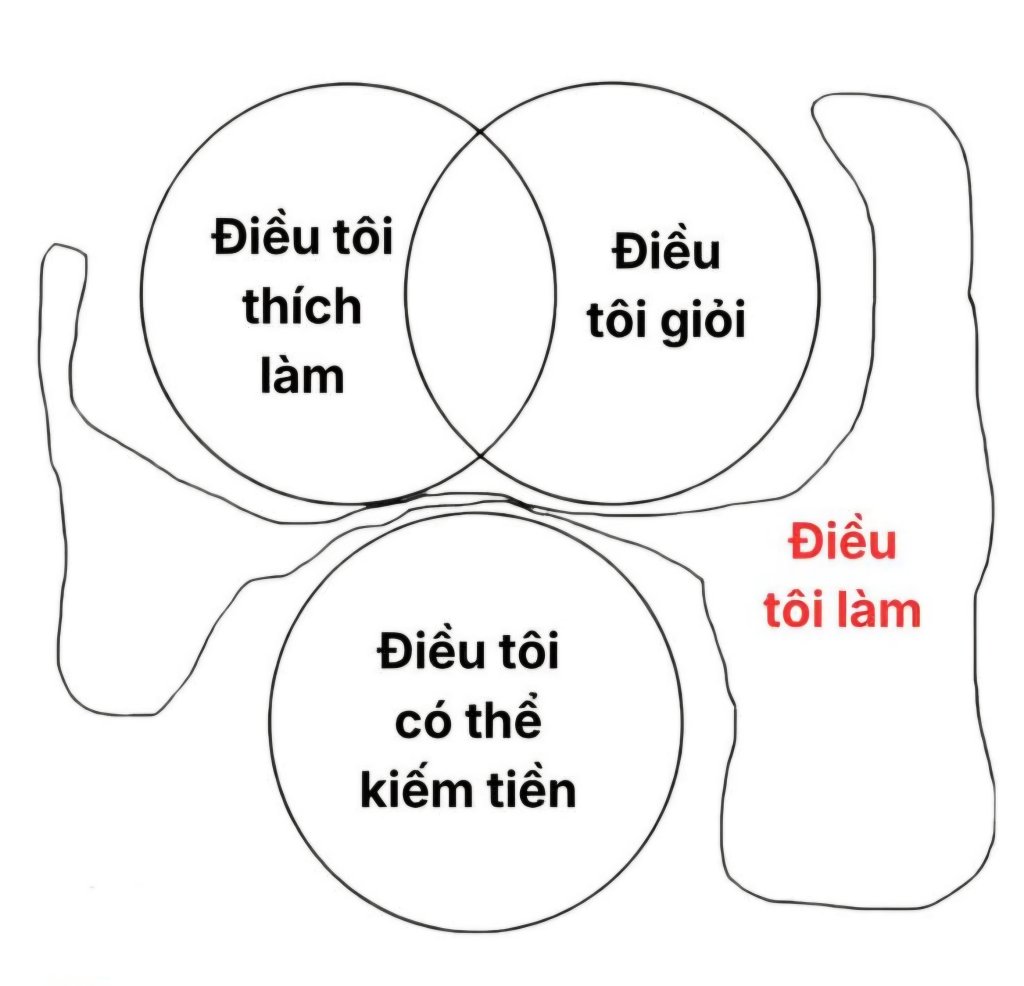 1000146462.jpg