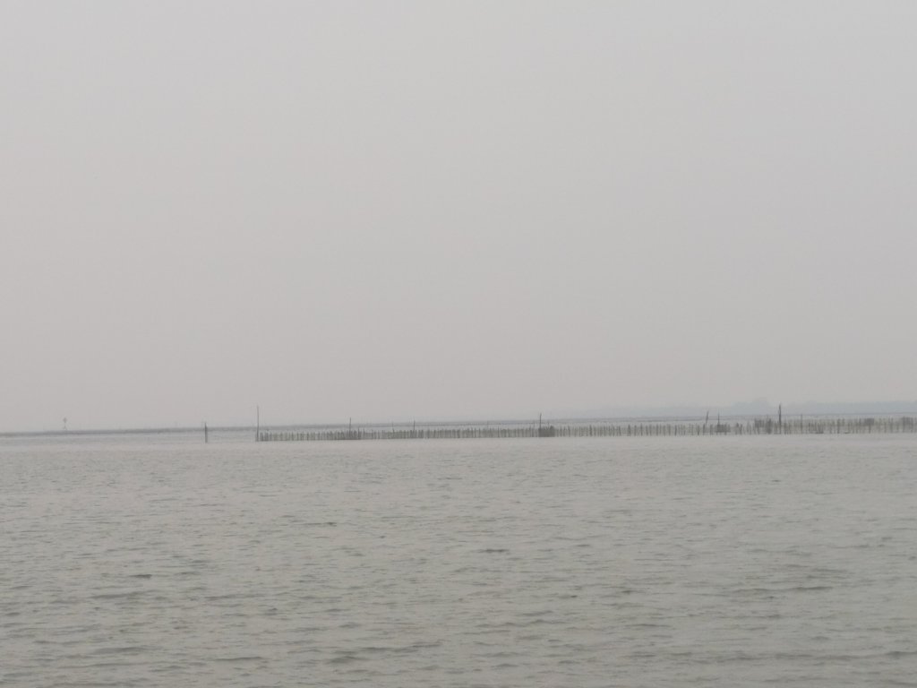 IMG_20260503_153138.jpg