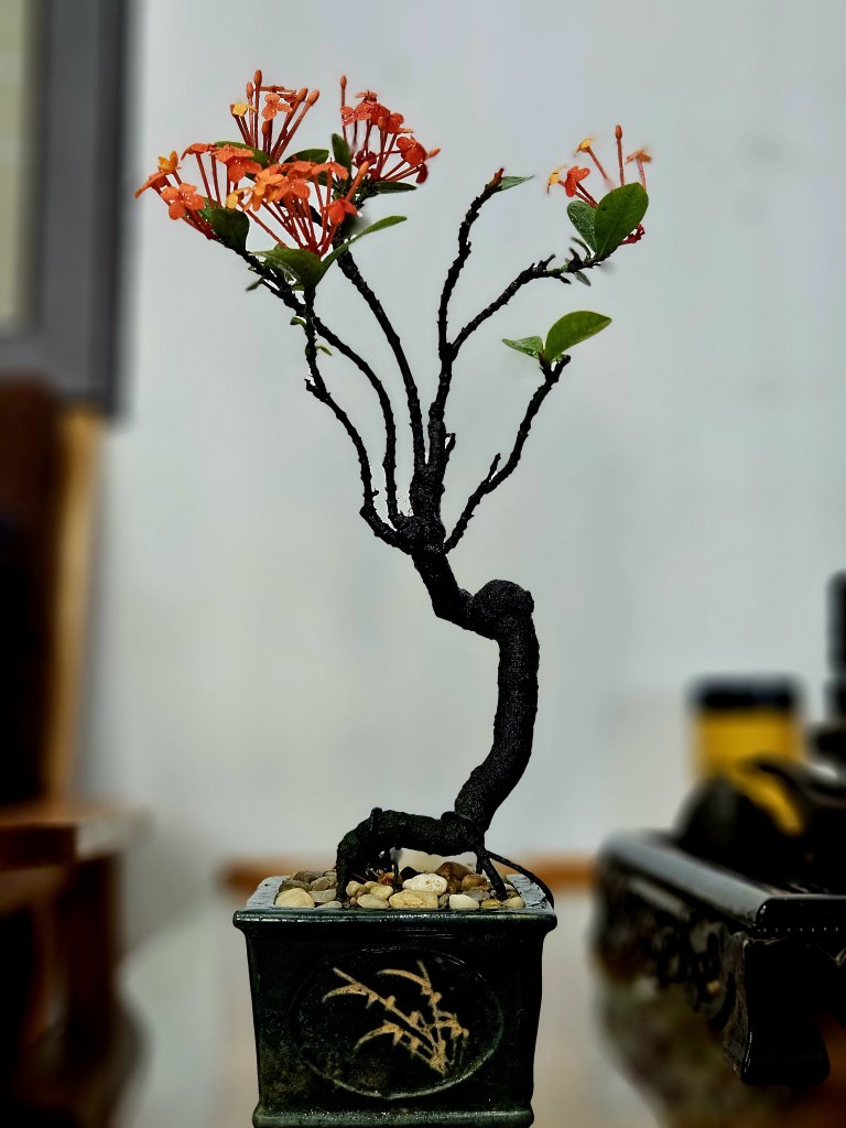 31086.jpg