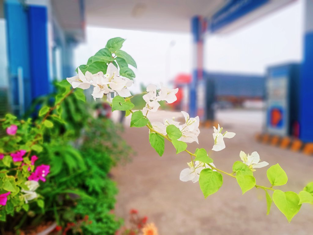 MEITU_20260509_102247475.jpg