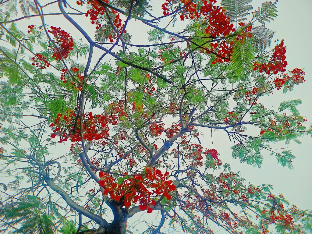 MEITU_20260511_080320542.jpg