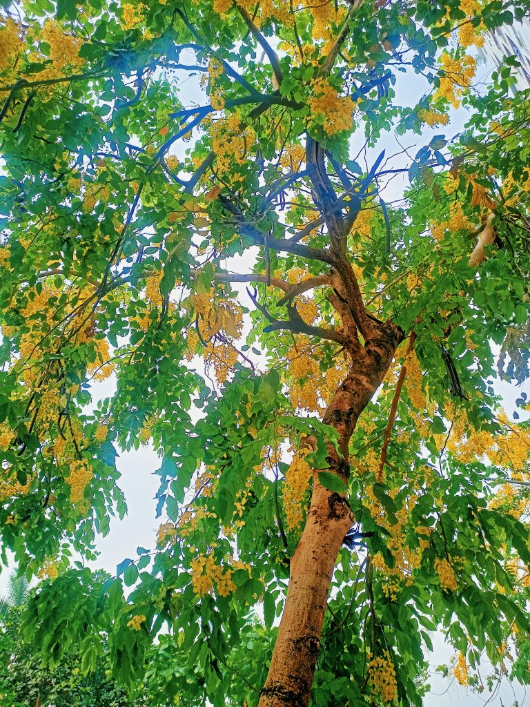 MEITU_20260511_103049898.jpg