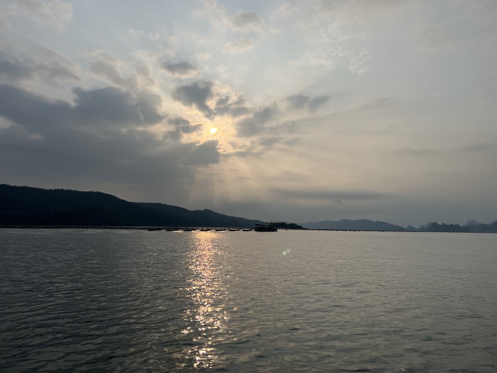 IMG_6776.jpeg
