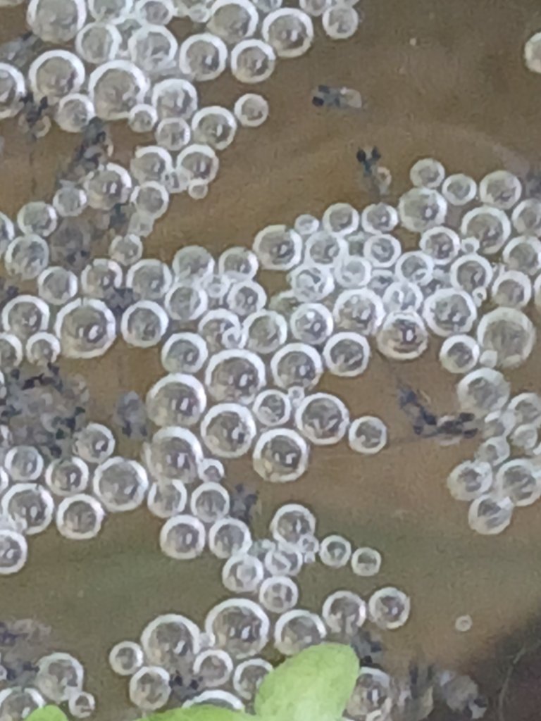 1000010502.jpg