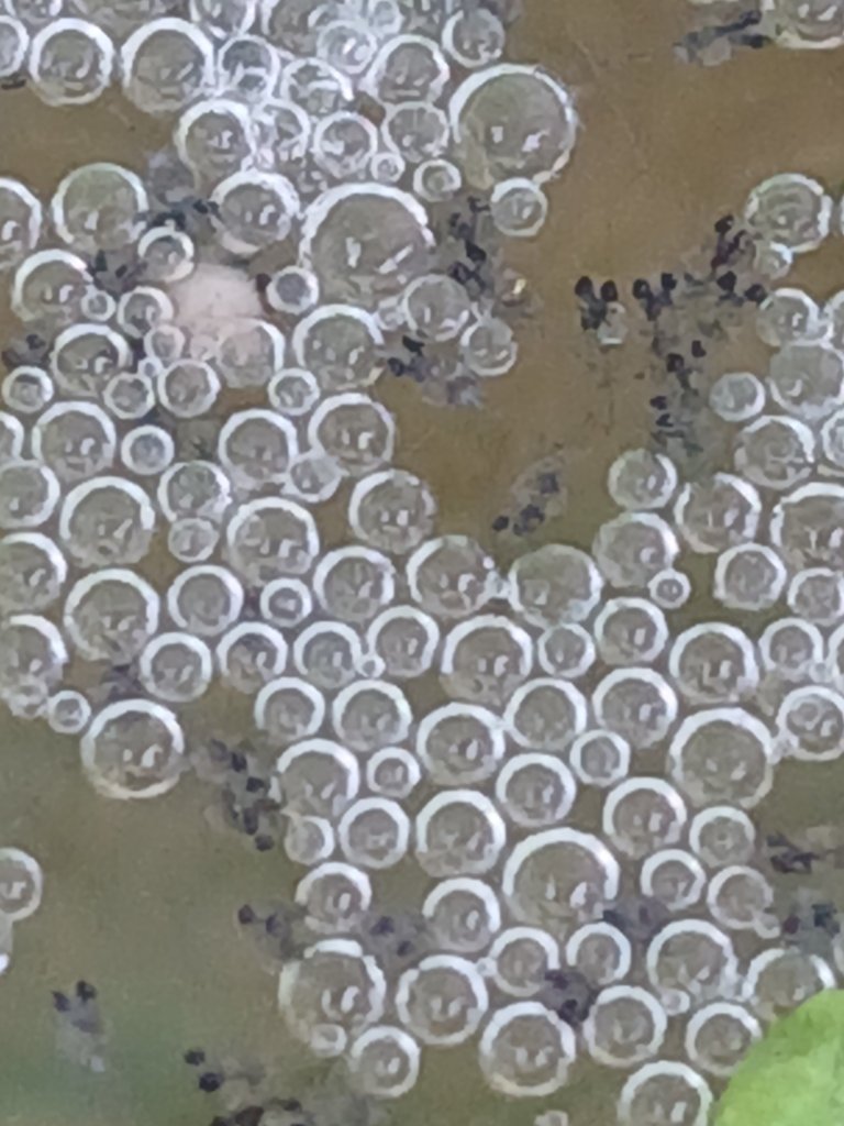 1000010500.jpg