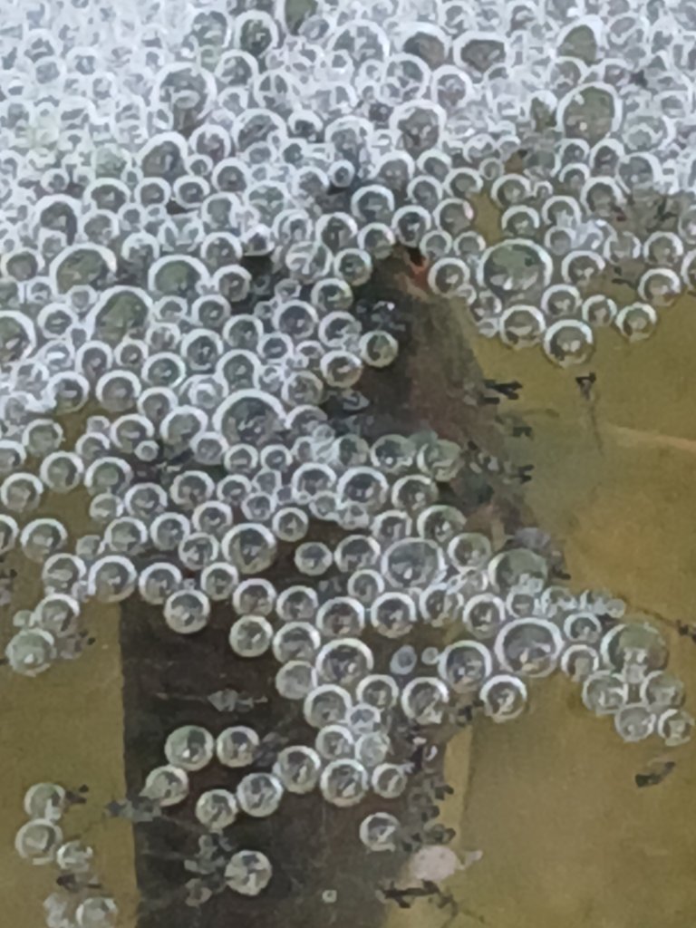 1000010510.jpg