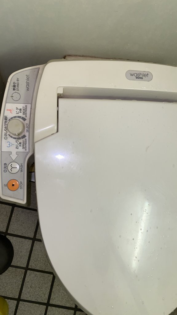 IMG_3847.jpeg
