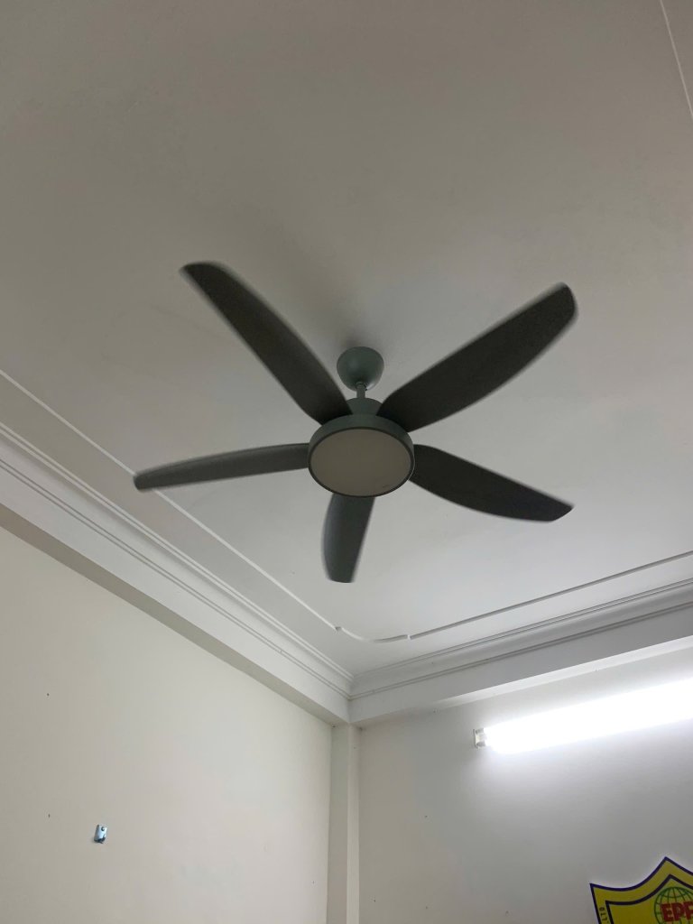 IMG_2199.jpeg