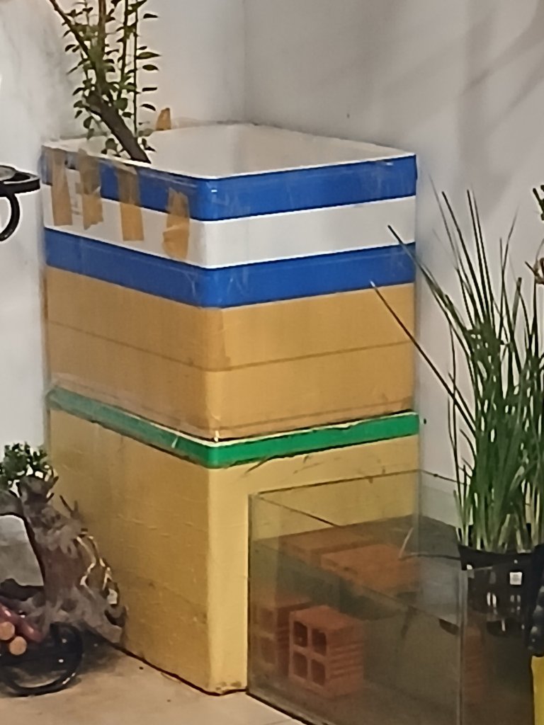 1000010620.jpg