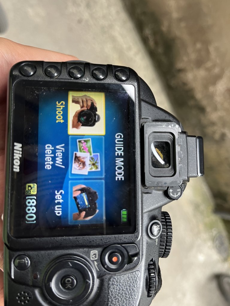 IMG_3521.jpeg